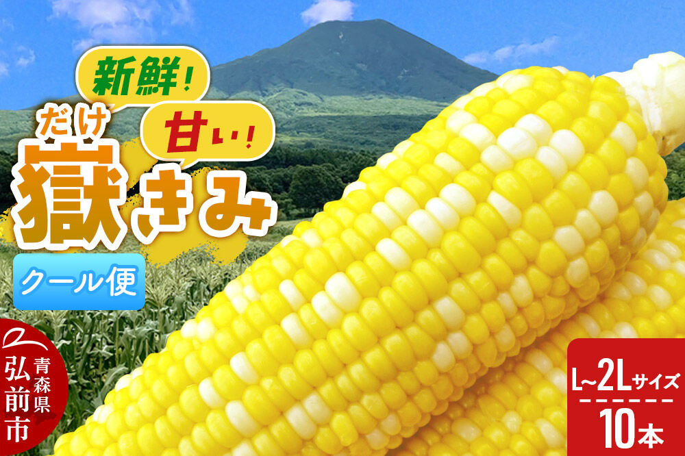【26年8月下旬〜クール便発送】とうもろこし 嶽きみ【先行受付】L〜2Lサイズ 10本 しらかみラボ [先行予約 とうもろこし コーン 嶽きみ ブランド クール便 おいしい 青森 野菜 だけきみ]