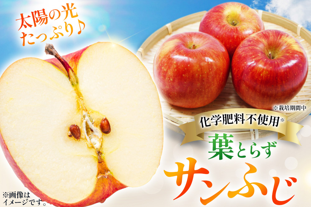 【25年11月〜発送】りんご 葉とらず サンふじ ＆ 名月 セット 約6kg カワムラファーム 贈答用【先行受付】 青森 果物 フルーツ 林檎 リンゴ くだもの 予約