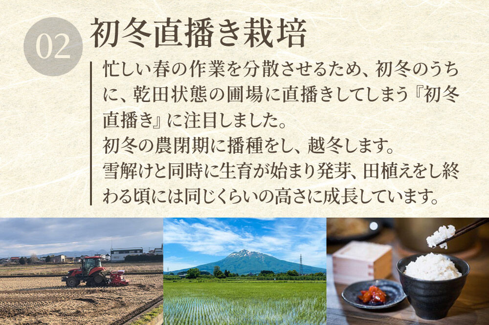 【寄附金額見直しました】米【特別栽培米】あきたこまち 白米 5kg 青森県弘前市産