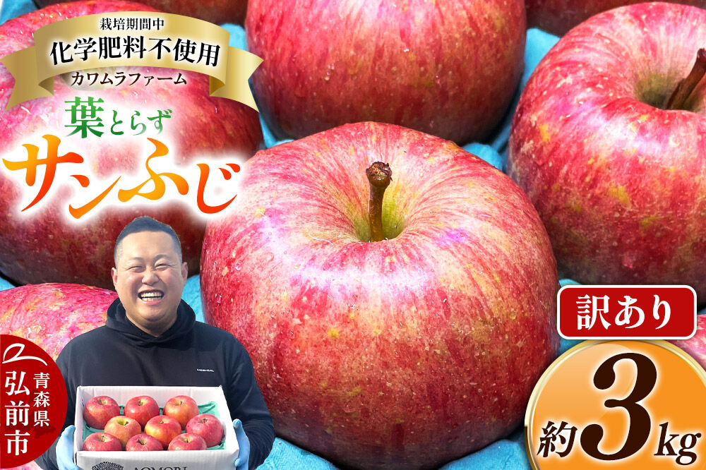 りんご 葉とらず サンふじ 約3kg カワムラファーム 訳あり 青森 果物 フルーツ 林檎 リンゴ くだもの 不揃い 規格外