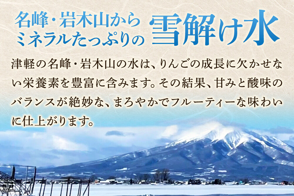 【26年11月発送】りんご シナノゴールド【家庭用】約5kg 青森県 弘前市 [青森県産 産地直送 アップル おいしい 果実 果物 黄色 美味]