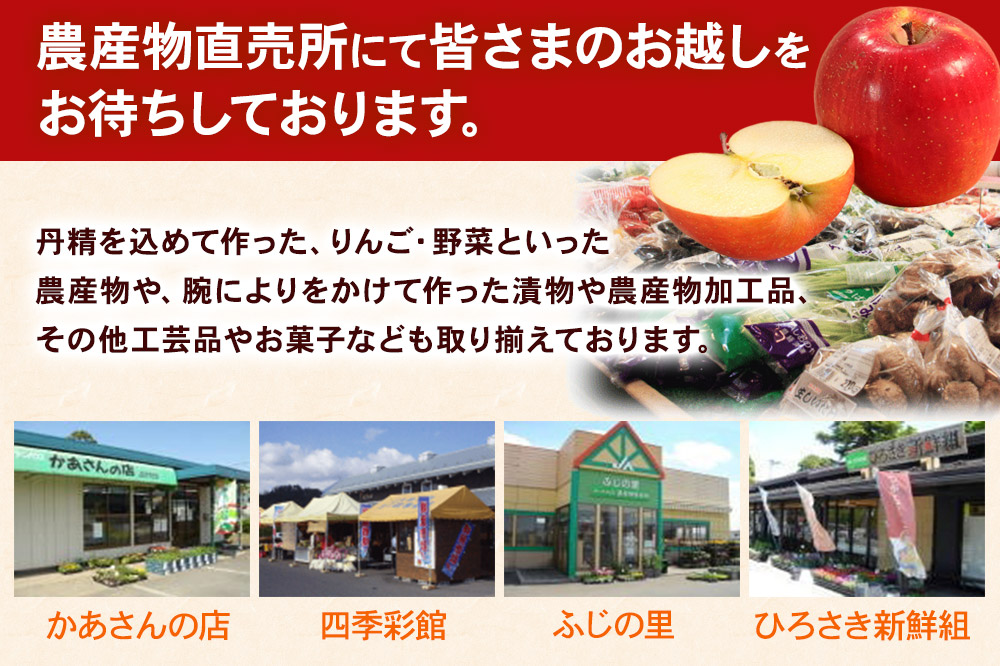 【26年1月〜発送】りんご 家庭用【訳あり】サンふじ 約3kg（9〜12玉程度）