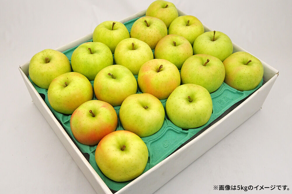 【26年10月発送】りんご トキ【訳あり】約5kg キタエアップル 青森県 弘前市 [先行予約 トキ りんご 訳あり 家庭用 アップル おいしい 果実 果物 黄色 美味 林檎]