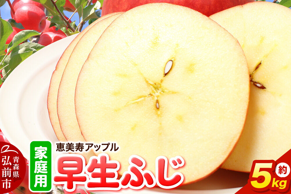 【26年10月発送】りんご【一足早くふじの味・早生ふじ】早生ふじ【家庭用】約5kg 先行受付 青森県 弘前市 果物 フルーツ 林檎 リンゴ くだもの 不揃い 規格外 [先行予約 産地直送 アップル おいしい 果実 美味 甘い 赤色]