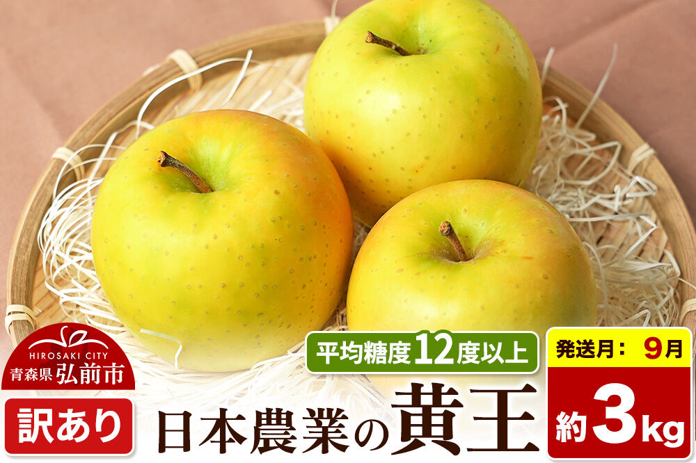【26年9月クール便発送】りんご 黄王【訳あり】約3kg 平均糖度12度以上 青森県産 果物 フルーツ 林檎 リンゴ くだもの 不揃い 規格外 [家庭用 産地直送 アップル 青森県 弘前市]