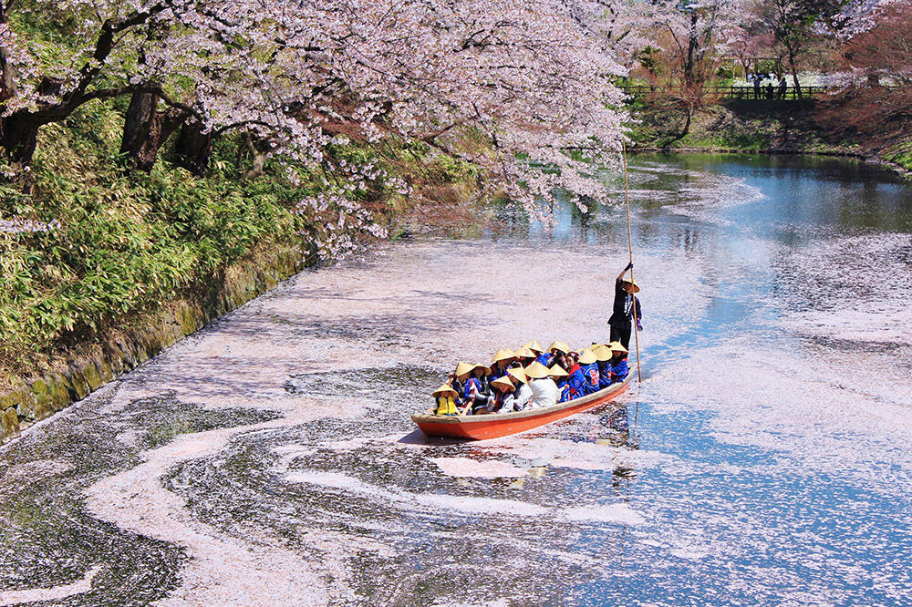 【タクシーでらくらく移動】着地型弘前さくらまつり見学ツアー 2名様ご招待＜レターパックプラス＞ [ホテル宿泊券 入場券 食事券 桜まつり]