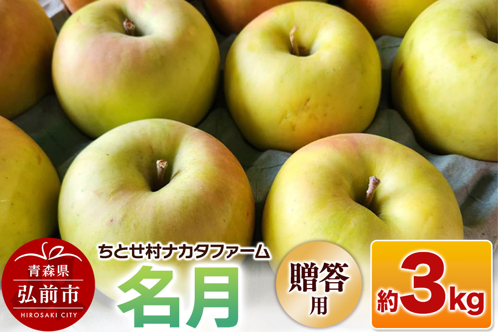 【25年11月〜発送】りんご【贈答用】名月 約3kg ちとせ村