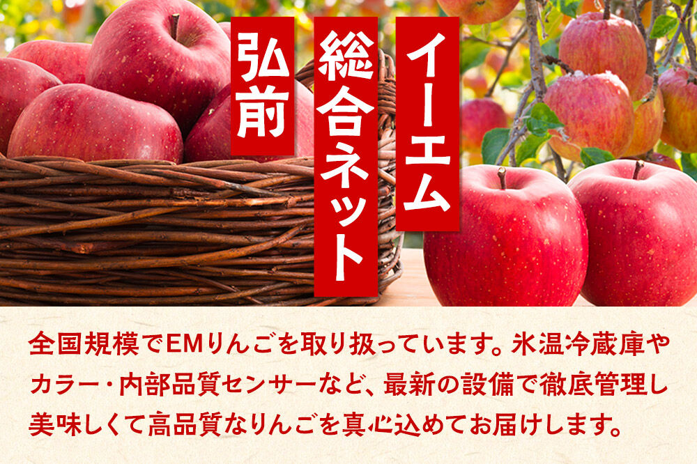 【26年2月〜発送】りんご  贈答用 サンふじ 約3kg 糖度 13度以上 EMりんご