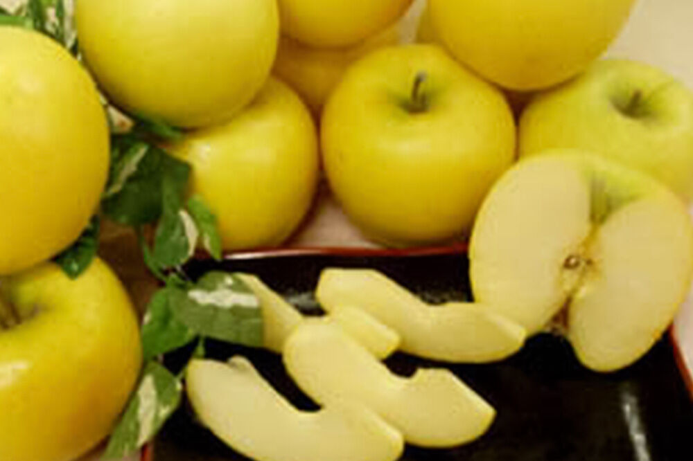 【26年4月クール便発送】りんご シナノゴールド【訳あり】約3kg【CA貯蔵】キタエアップル [不揃い 規格外 アップル 産地直送 青森県 弘前市 詰め合わせ セット 果物 フルーツ 林檎 リンゴ くだもの]