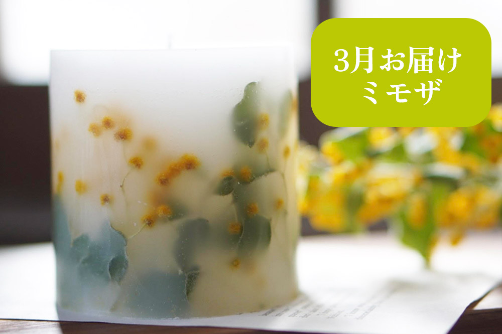 《定期便全4回》配送月固定 ボタニカル キャンドル  全4個（1個×4回お届け）【3ヶ月に1回お届け 3月 6月 9月 12月】