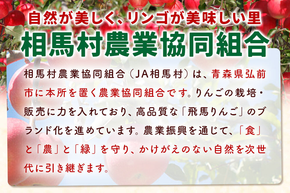 【26年12月〜発送】りんご 糖度14度以上 「 飛馬ふじ 」（サンふじ）約 2.5kg [アップル おいしい ふじ りんご 果実 果物 赤色 糖度 美味 林檎]