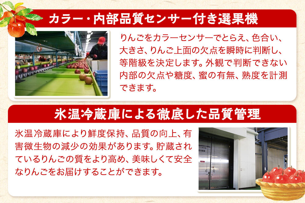 【26年2月〜発送】りんご  贈答用 サンふじ 約3kg 糖度 13度以上 EMりんご