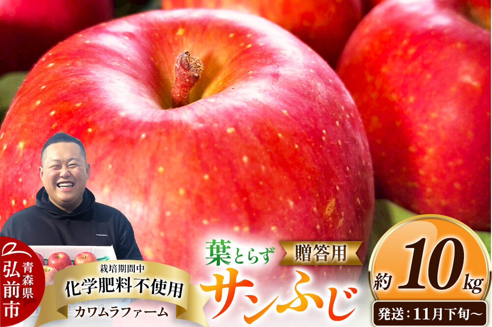 【26年11月下旬〜発送】りんご 葉とらず サンふじ【贈答用】約10kg【先行受付】カワムラファーム 青森県 弘前市 果物 フルーツ 林檎 リンゴ くだもの ギフト 贈り物 [先行予約 産地直送 アップル おいしい 果実 美味 甘い 赤色]