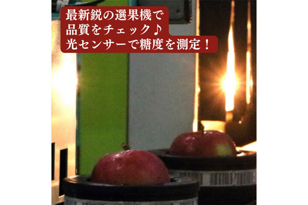 【26年12月〜発送】りんご 糖度14度以上 「 飛馬ふじ 」（サンふじ）約 2.5kg [アップル おいしい ふじ りんご 果実 果物 赤色 糖度 美味 林檎]