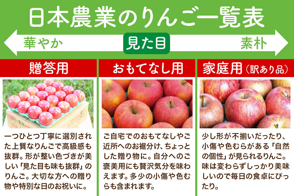 【26年4月クール便発送】りんご 平均糖度13度以上！ 葉とらず サンふじ 約10kg 訳あり【CA貯蔵】青森 果物 フルーツ 林檎 リンゴ くだもの 不揃い 規格外 [アップル 産地直送 クール便 CA貯蔵 青森県 弘前市]