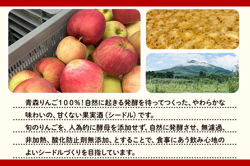 シードル zattana cidre 鴻雁来 750ml 1本 [シードル スパークリング 発泡 りんご 林檎 酒 果実 果物 酒 おいしい 美味青森県 弘前市 zattana]