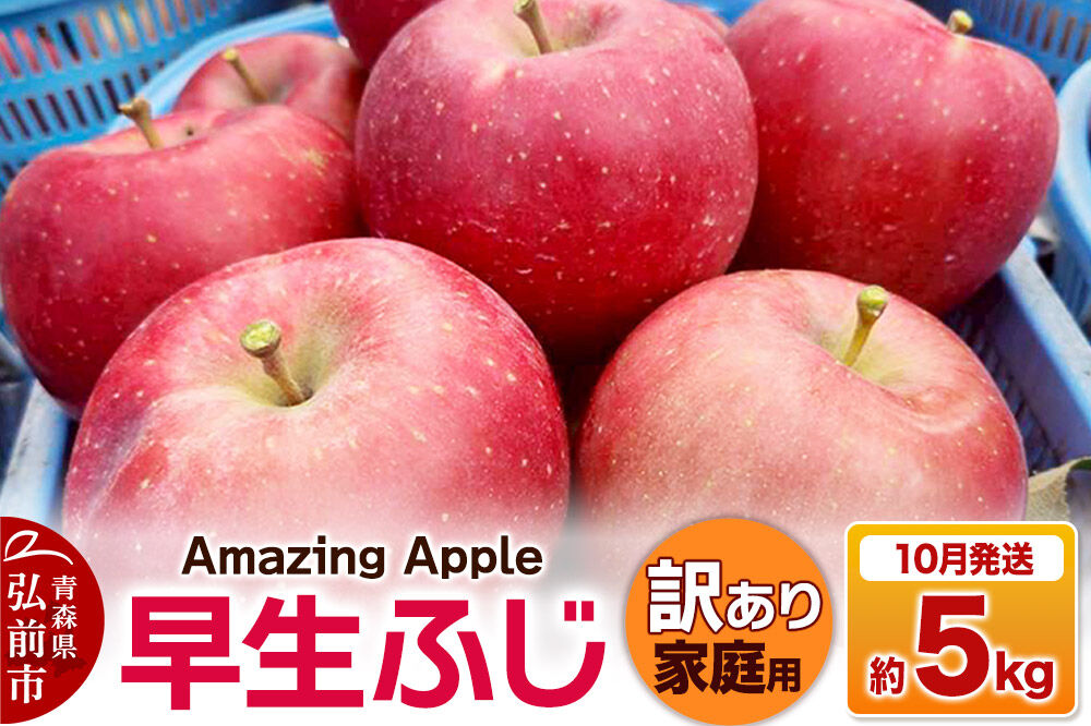 【26年10月発送】りんご 早生ふじ【訳あり】家庭用 約5kg 先行受付 [先行予約 青森産 りんご 早生ふじ アップル 林檎 リンゴ 果物 果実 美味 青森県 弘前市]