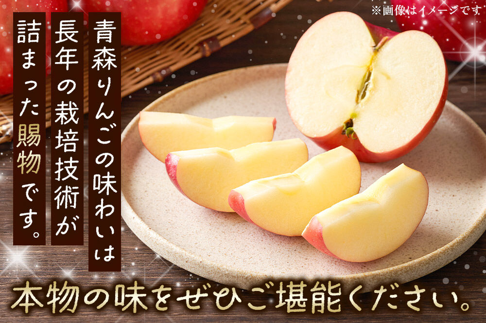 りんご 【糖度13度以上】サンふじ【家庭用】約10kg 26〜40玉程度 津軽農園 [アップル おいしい ふじ りんご 果実 果物 青森 赤色 津軽 糖度 美味 林檎]