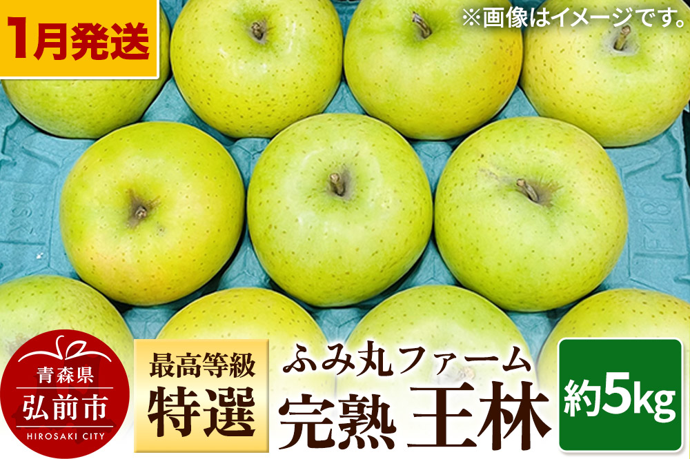 【26年1月〜発送】りんご ふみ丸ファーム 最高等級「特選」完熟 王林 約5kg