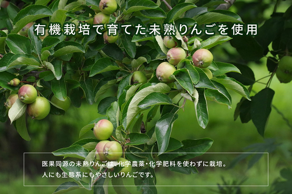 å»æåæºæªçãããå
¥ã ããããžã¥ãŒã¹ïŒ160gÃ12æ¬å
¥ïŒ