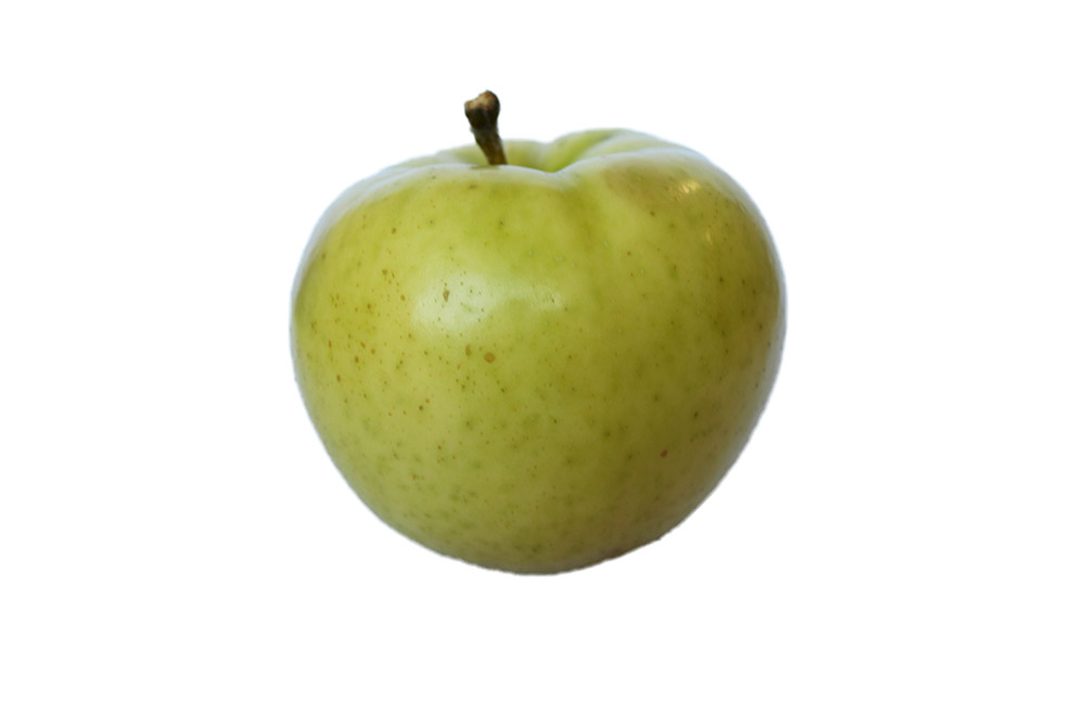 蠑俶棡繧ェ繝ェ繧ク繝翫Ν蜩∫ィョ繧キ繝シ繝峨Ν 2遞ョ鬘槭そ繝繝 500mlテ2譛ャ