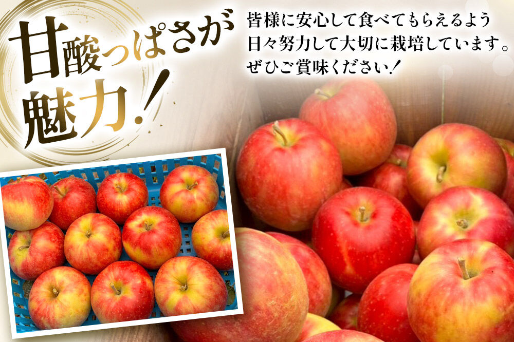【26年10月発送】りんご 葉とらず ジョナゴールド【訳あり】約3kg カワムラファーム 青森県 弘前市 [果物 フルーツ 林檎 リンゴ くだもの 不揃い 規格外]
