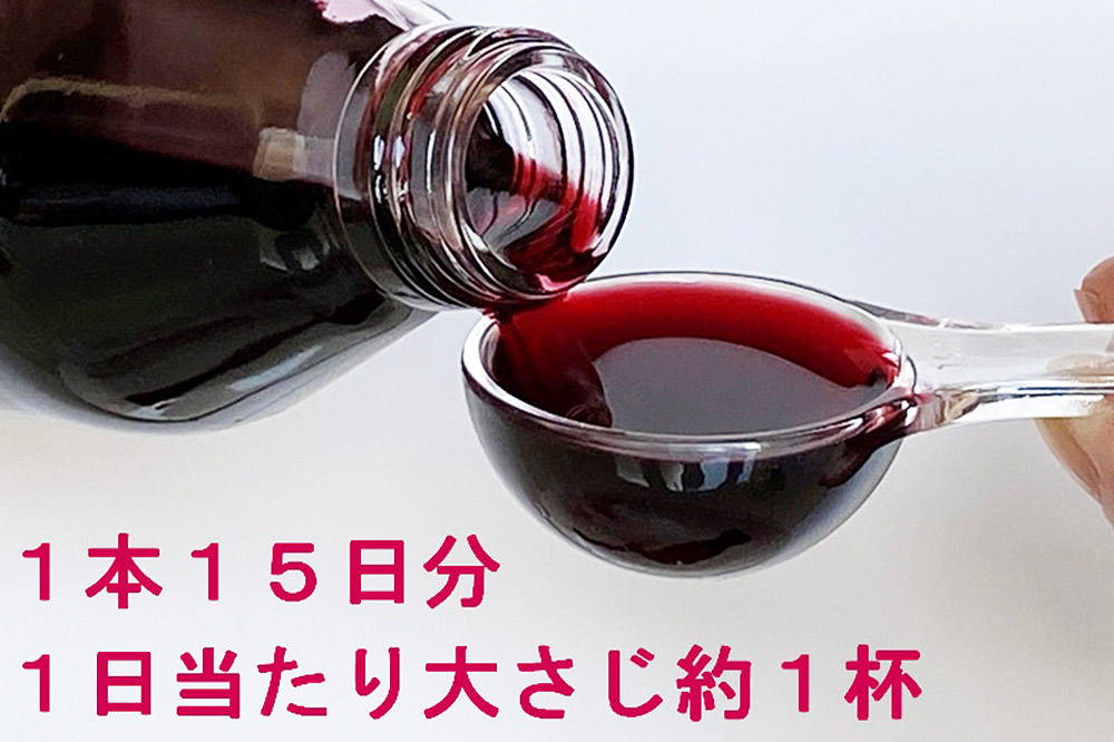 カシス果汁100％ジュース（無加糖・無添加）250ml×2本【果汁飲料】