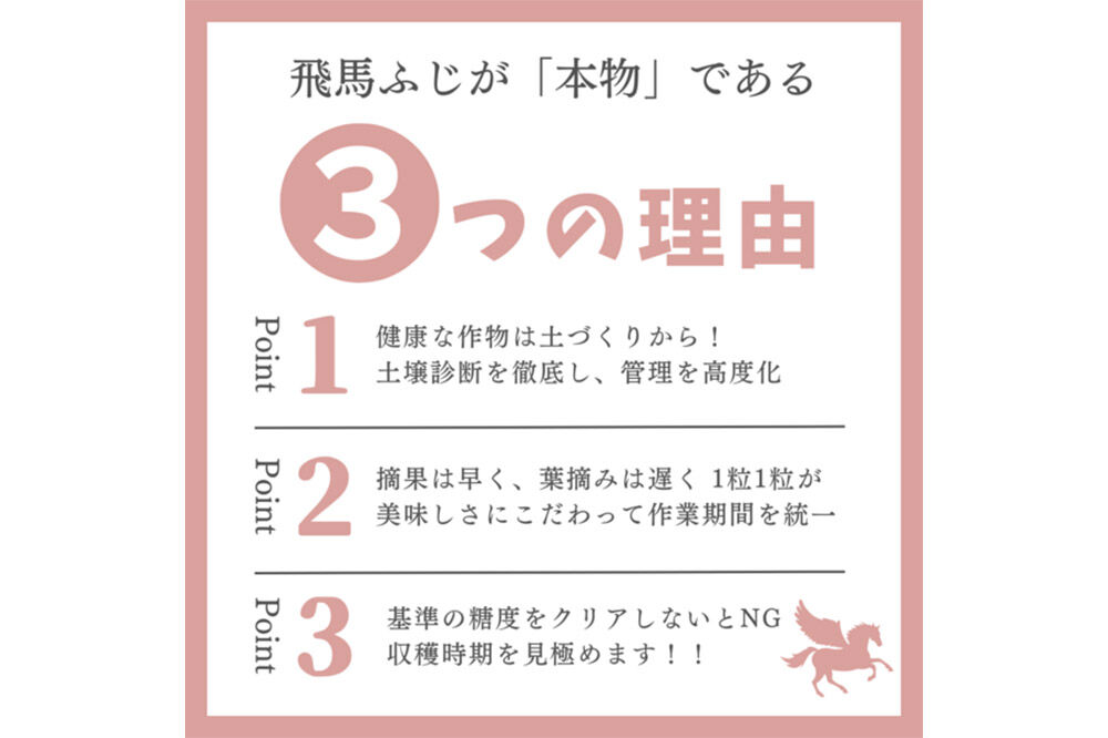 【26年12月〜発送】りんご 糖度14度以上 「 飛馬ふじ 」（サンふじ）約 2.5kg [アップル おいしい ふじ りんご 果実 果物 赤色 糖度 美味 林檎]