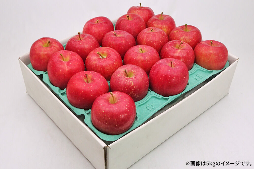 【26年10月発送】りんご 弘前ふじ【訳あり】約5kg キタエアップル 青森県 弘前市 [先行予約 弘前ふじ りんご 訳あり 家庭用 アップル おいしい 果実 果物 赤色 美味 林檎]