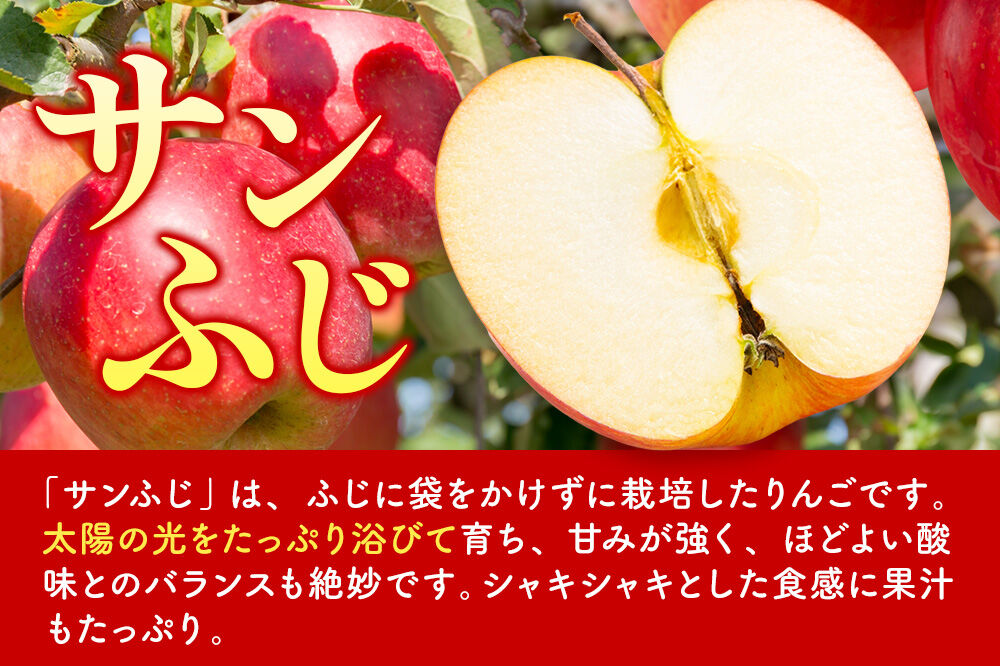 【26年12月発送】りんご サンふじ【家庭用】約10kg 糖度13度以上 先行受付 青森県 弘前市 果物 フルーツ 林檎 リンゴ くだもの 不揃い 規格外 [先行予約 産地直送 アップル おいしい 果実 美味 甘い 赤色]