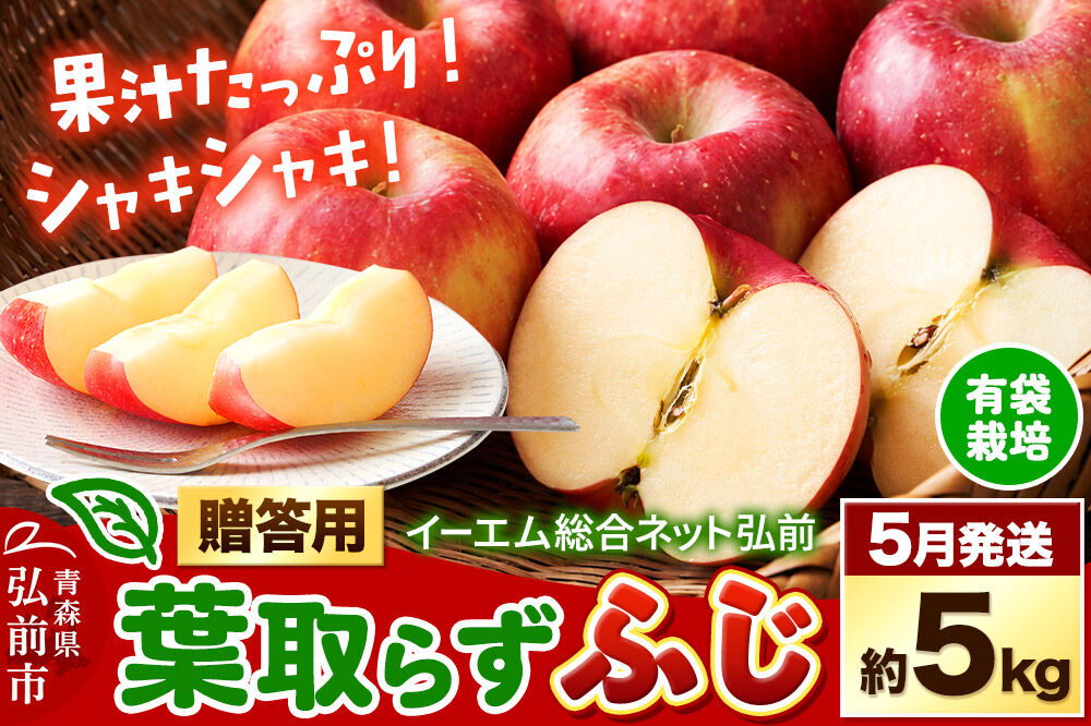 【27年5月クール便発送】りんご 葉取らず ふじ【贈答用】約5kg【有袋栽培・CA貯蔵】EMりんご 林檎 リンゴ 果物 くだもの フルーツ 先行受付 青森県 弘前市 贈り物 ギフト [先行予約 産地直送 アップル 青森県 弘前市]