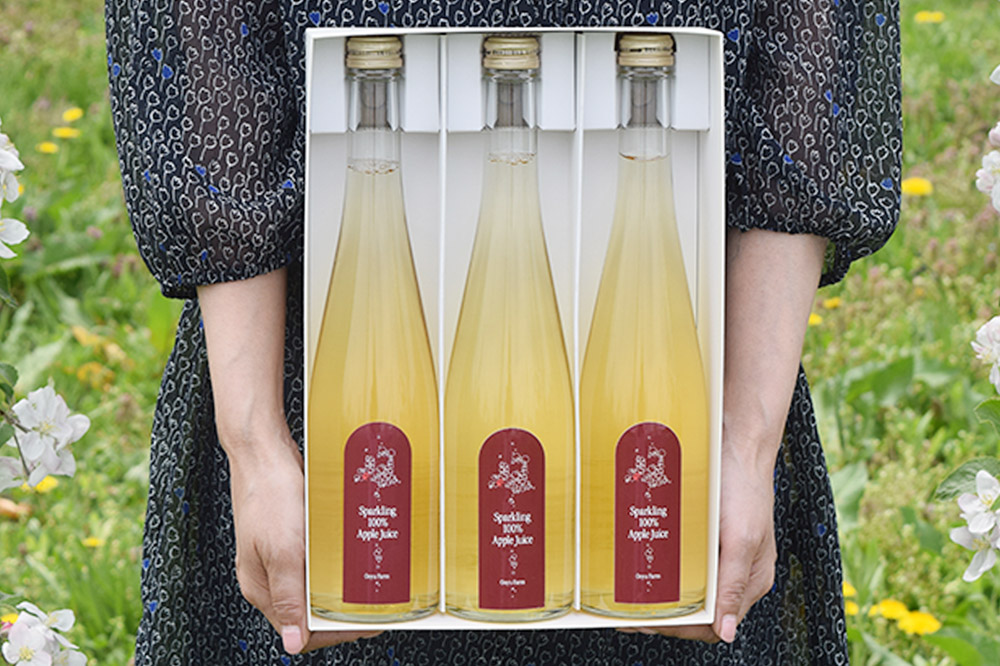 スパークリング100％りんごジュース（3本入り） りんご果汁100％ リンゴ 果汁 林檎 飲料 アップル 果物 フルーツ 青森 飲み物 ドリンク [アップル おいしい おしゃれ ジュース フルーツジュース りんご 飲料 果実 果汁 果汁100％ 果物 美味 林檎]