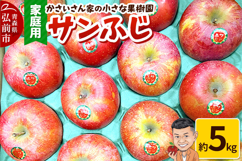 りんご サンふじ 約5kg【家庭用】