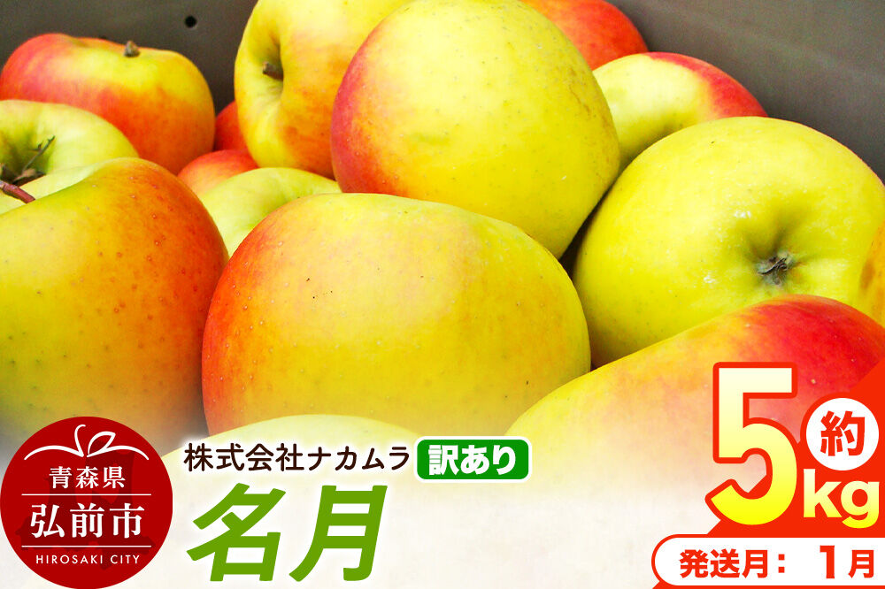 【27年1月発送】りんご 名月【訳あり】約5kg（14〜23玉程度）先行受付 青森県産 林檎 リンゴ 果物 くだもの フルーツ 青森県 弘前市 不揃い 規格外 [先行予約 産地直送 家庭用 アップル おいしい めいげつ 果実 美味 甘い]