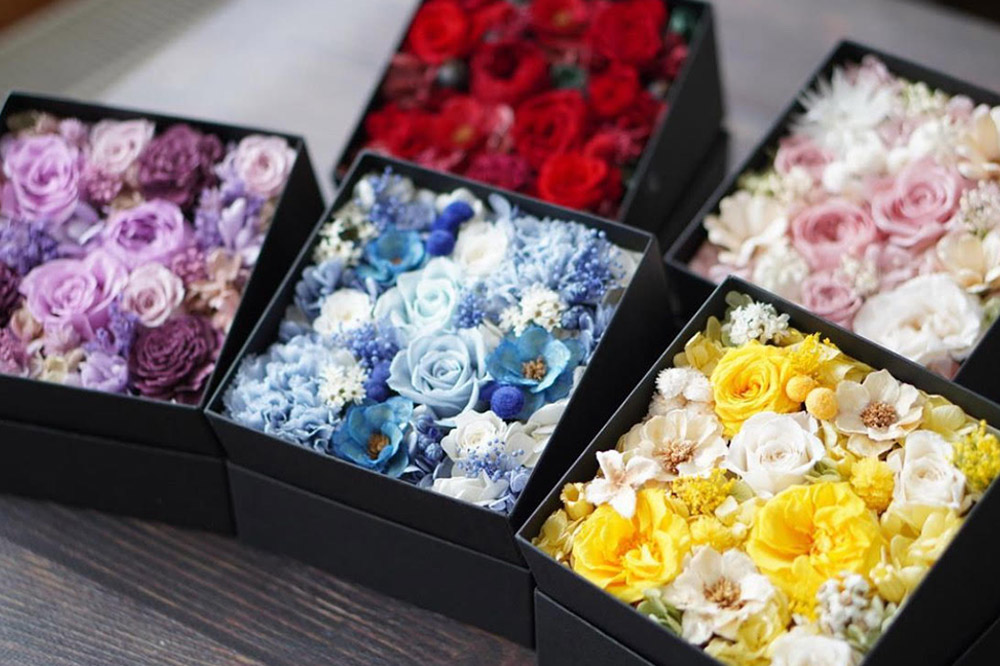 ããªã¶ãŒãããã©ã¯ãŒããã¯ã¹ããã«ãŒã13cmç®±Ã1å