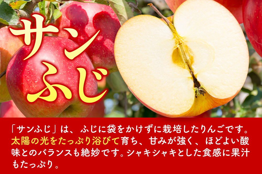 【寄附金額見直しました】りんご 【糖度13度以上】サンふじ 約3kg 【秀品】 青森県 フルーツ 果物
