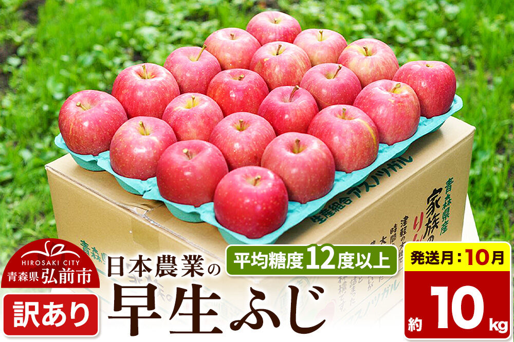 【26年10月発送】りんご 早生ふじ【訳あり】約10kg 平均糖度12度以上 青森 果物 フルーツ 林檎 リンゴ くだもの 不揃い 規格外 [先行受付 家庭用 産地直送 アップル 青森県 弘前市]