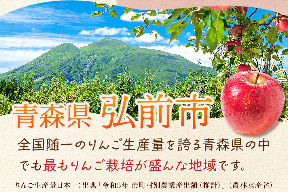 【26年12月発送】りんご サンふじ【家庭用】約10kg 26〜40玉程度【糖度13度以上】津軽農園 [先行予約 青森県 弘前市 アップル おいしい ふじ りんご 果実 果物 赤色 津軽 糖度 美味 林檎]