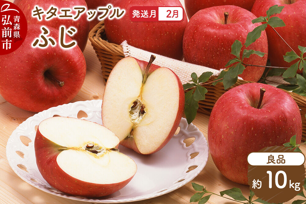 【27年2月発送】りんご ふじ【良品】約10kg キタエアップル 先行受付 青森県 弘前市 果物 フルーツ 林檎 リンゴ くだもの ギフト 贈り物 青森県 弘前市 [先行予約 産地直送 アップル おいしい 果実 美味 甘い 赤色]