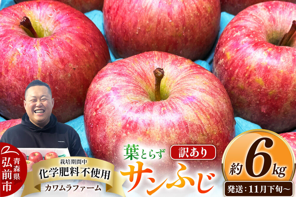 【26年11月下旬〜発送】りんご 葉とらず サンふじ【訳あり】約6kg【先行受付】カワムラファーム 青森県 弘前市 果物 フルーツ 林檎 リンゴ くだもの 不揃い 規格外 [先行予約 産地直送 アップル おいしい 果実 美味 甘い 赤色]