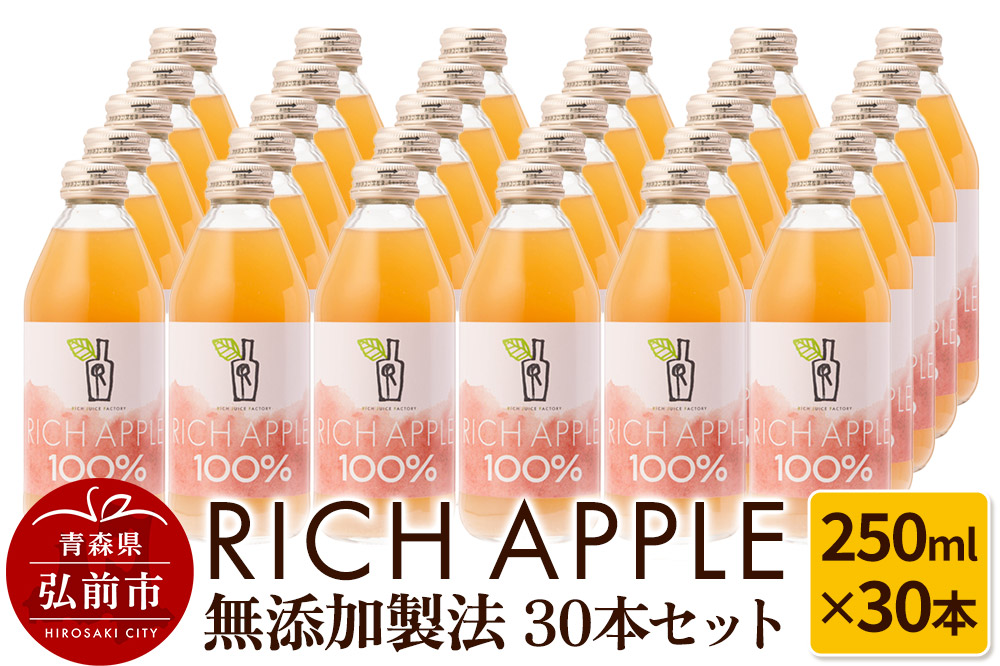 りんごジュース RICH APPLE 無添加製法 30本セット（250ml×30本）