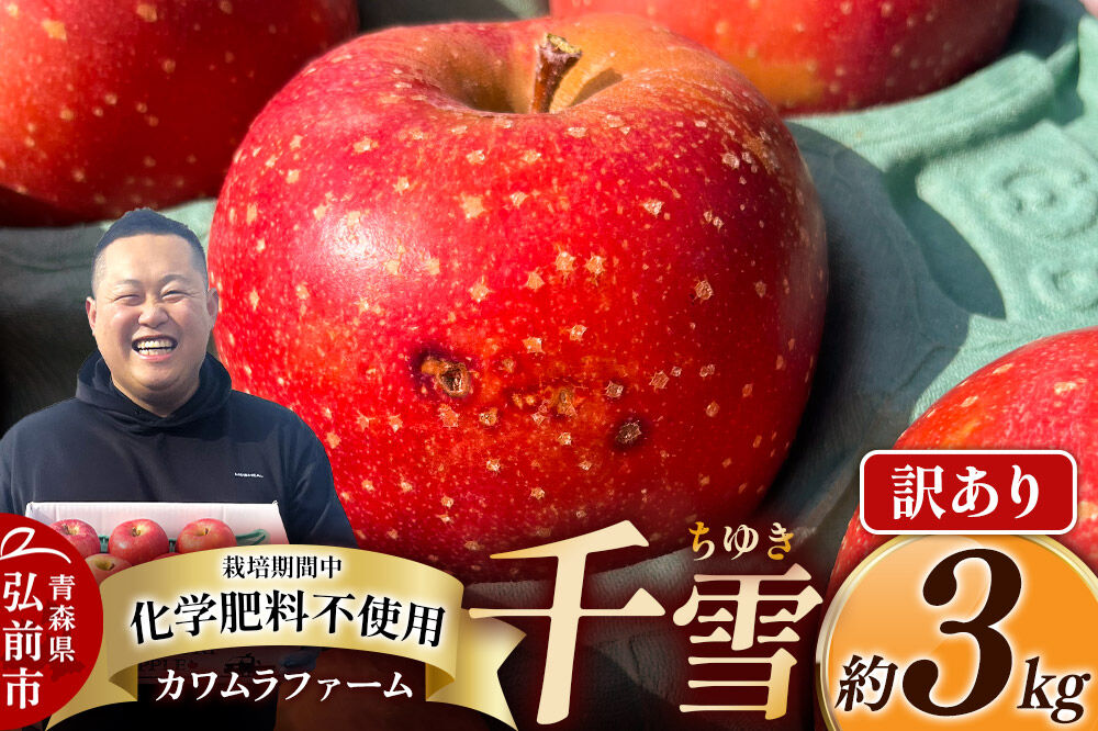 【寄附金額見直しました】【26年10月下旬〜発送】りんご 千雪 約3kg カワムラファーム【訳あり】青森 果物 フルーツ 林檎 リンゴ くだもの [先行受付 アップル おいしい ちゆき 果実 果物 赤色 美味 林檎 弘前市]