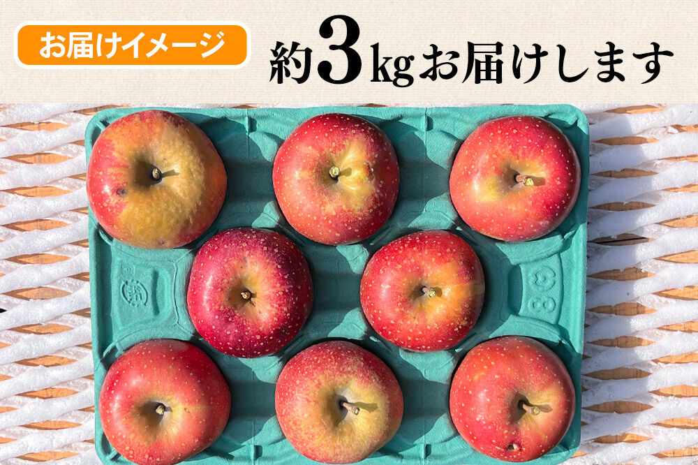 【26年10月下旬〜発送】りんご 千雪 約3kg カワムラファーム【訳あり】青森 果物 フルーツ 林檎 リンゴ くだもの [先行受付 アップル おいしい ちゆき 果実 果物 赤色 美味 林檎 弘前市]