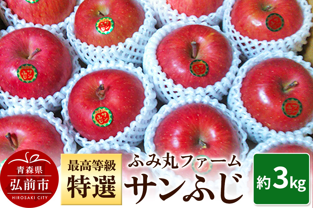【25年12月発送】りんご ふみ丸ファーム 最高等級「特選」 サンふじ 約3kg 青森 弘前 林檎 リンゴ 赤色