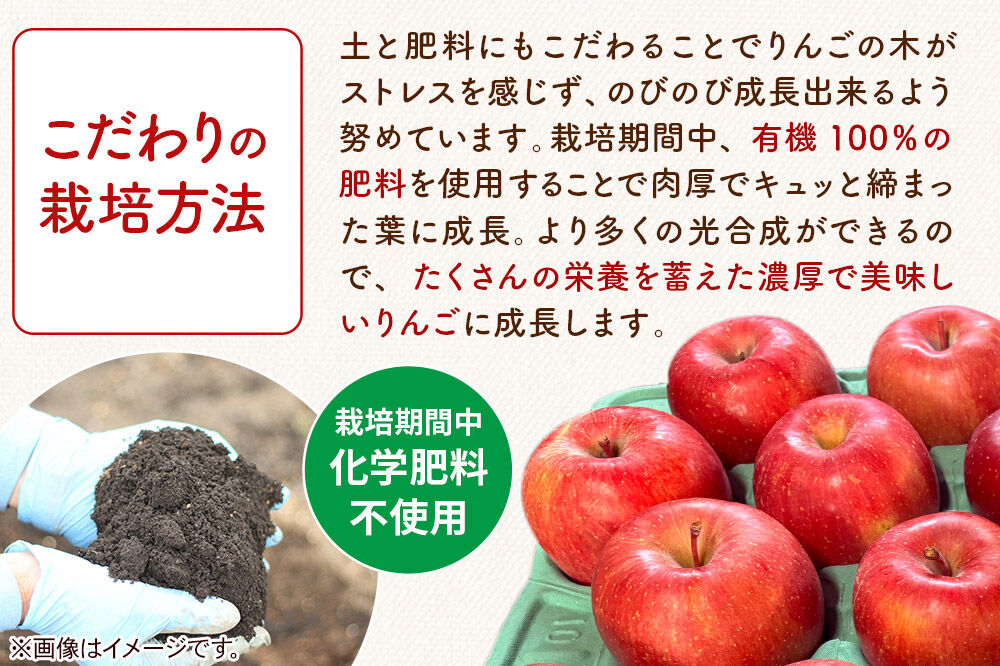 【26年10月発送】りんご 葉とらず ジョナゴールド【家庭用】約6kg カワムラファーム 青森県 弘前市 [果物 フルーツ 林檎 リンゴ くだもの]