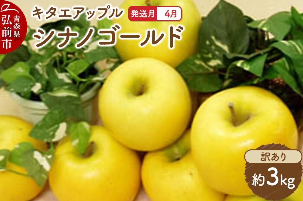 【26年4月クール便発送】りんご シナノゴールド【訳あり】約3kg【CA貯蔵】キタエアップル [不揃い 規格外 アップル 産地直送 青森県 弘前市 詰め合わせ セット 果物 フルーツ 林檎 リンゴ くだもの]