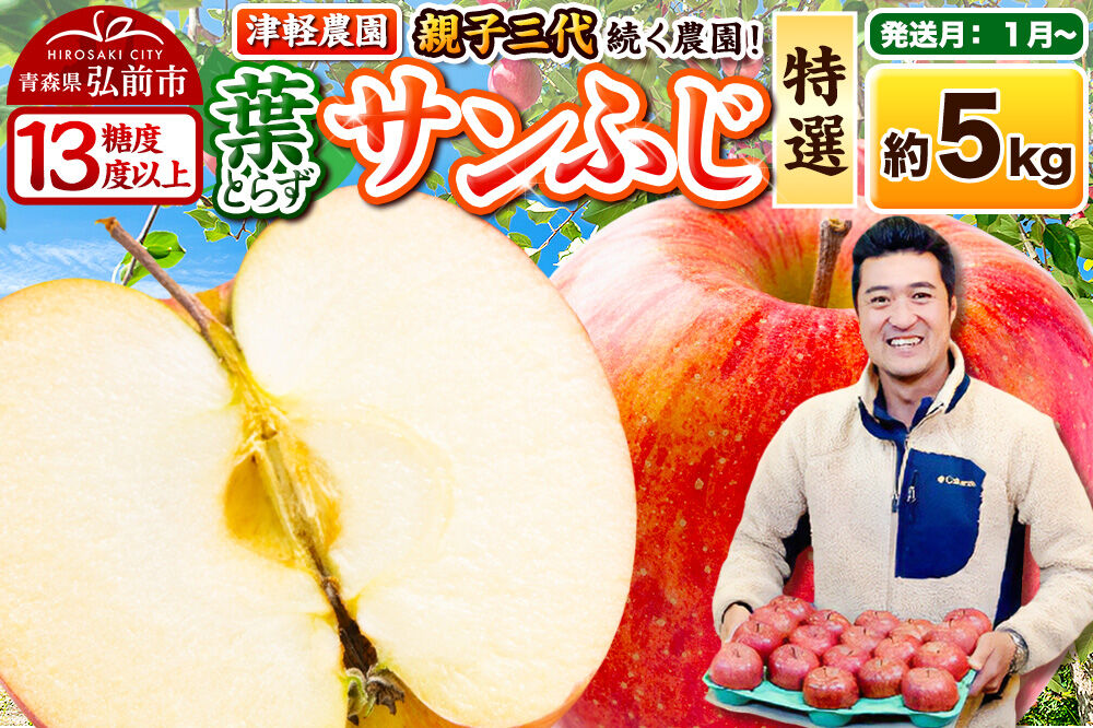 【27年1月〜発送】りんご 葉とらずサンふじ【特選】約5kg 13〜20玉程度【糖度13度以上】津軽農園 先行受付 青森県 弘前市 果物 フルーツ 林檎 リンゴ くだもの ギフト 贈り物 [先行予約 産地直送 アップル おいしい 果実 美味 甘い 赤色]