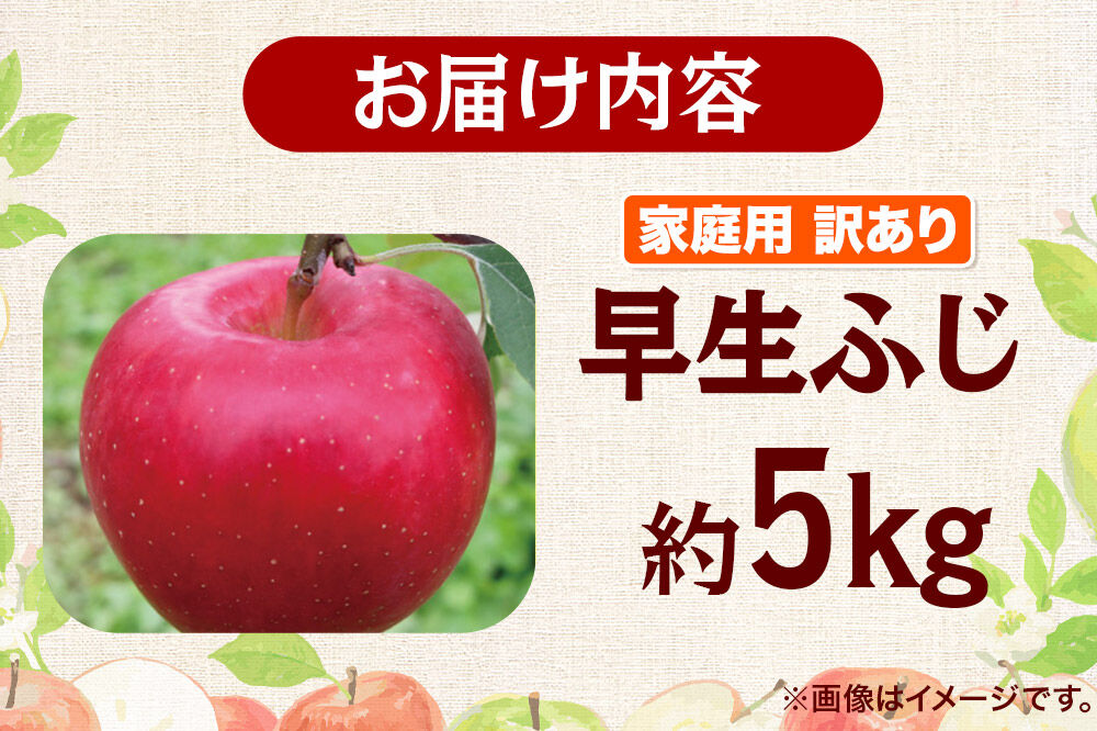 【26年10月発送】りんご 早生ふじ【訳あり】約5kg 家庭用 青森県 弘前市 [早生ふじ りんご 訳あり 家庭用 アップル おいしい 果実 果物 詰め合わせ 詰合 赤色 美味 林檎]