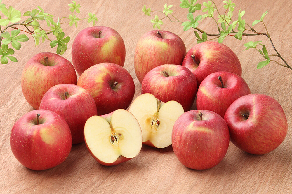 【寄附金額見直しました】【26年3月クール便発送】りんご 葉取らずサンふじ【訳あり】約5kg キタエアップル