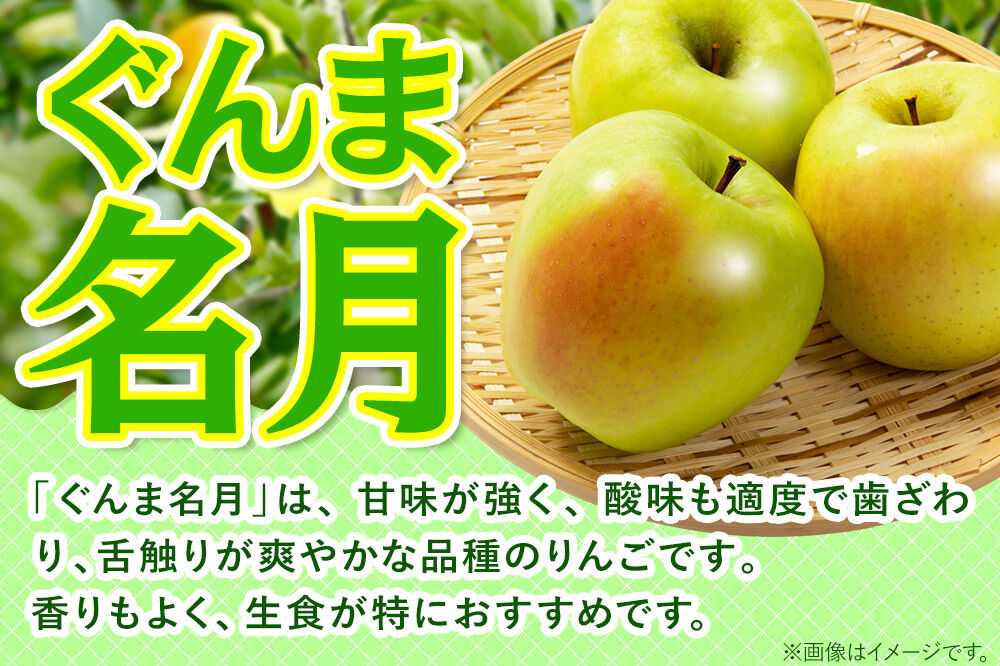 【27年2月発送】りんご ぐんま名月【贈答用】約5kg 先行受付 青森県 弘前市 果物 フルーツ 林檎 リンゴ くだもの ギフト 贈り物 [先行予約 産地直送 アップル おいしい 果実 美味 甘い 黄色]
